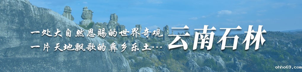 伟德平台 传承与弘扬文化