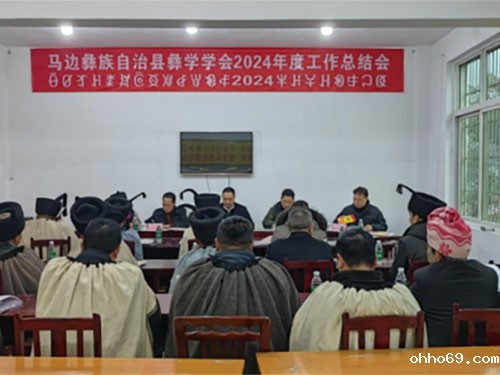 马边县韦德官方网址学会2024年度工作总结会议召开
