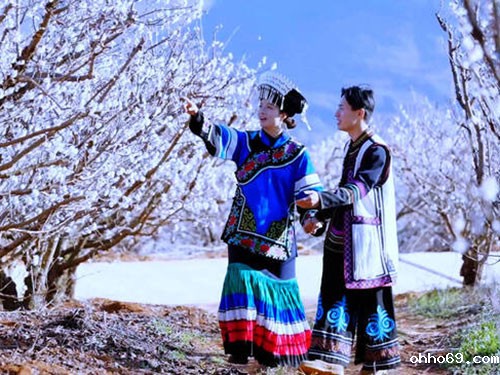 武定春暖“花”先知